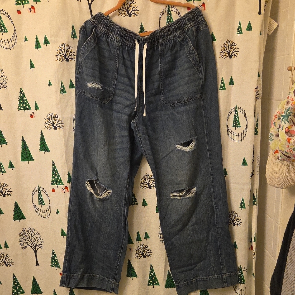 Lane Bryant Drawstring Blue Jeans with Distressed Details